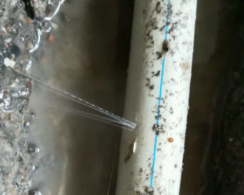 宝兴卫生间测漏水多少钱