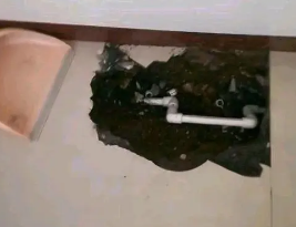 宝兴卫生间测漏水多少钱